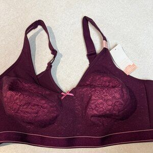 NWT Cacique Lace Bra in Rich Burgundy and Pink 42DDD